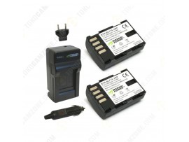 Wasabi Power Battery (2-Pack) and Charger Kit for Panasonic DMW-BLF19